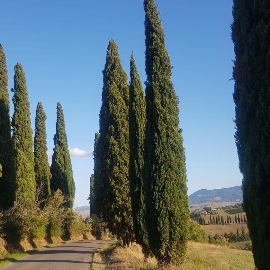 Ferienwohnung Dimora In San Quirico dʼOrcia Exterior foto