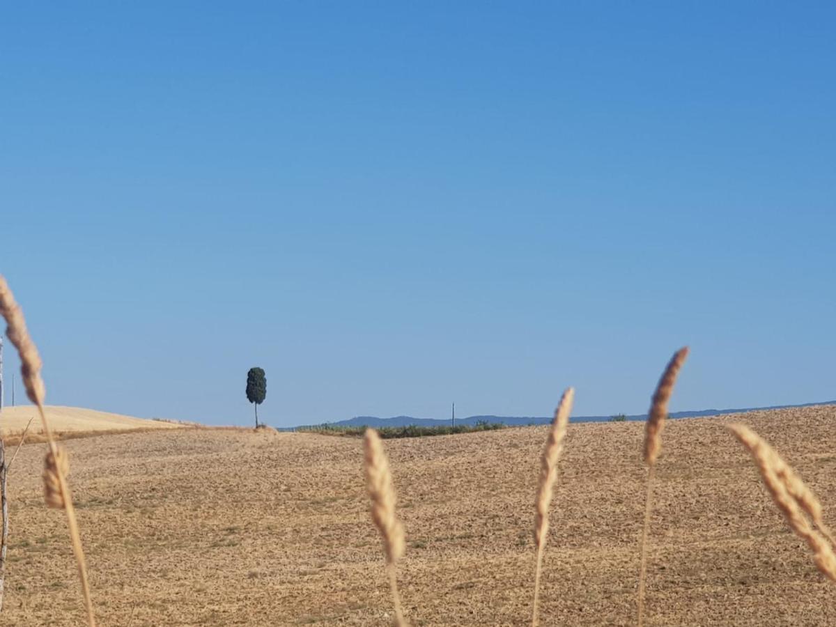 Ferienwohnung Dimora In San Quirico dʼOrcia Exterior foto