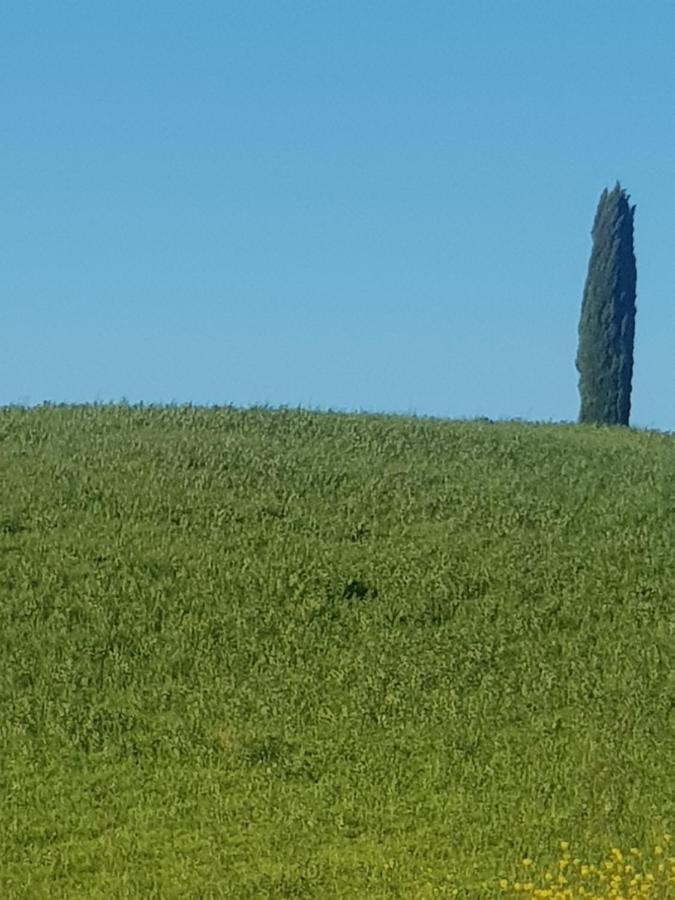 Ferienwohnung Dimora In San Quirico dʼOrcia Exterior foto
