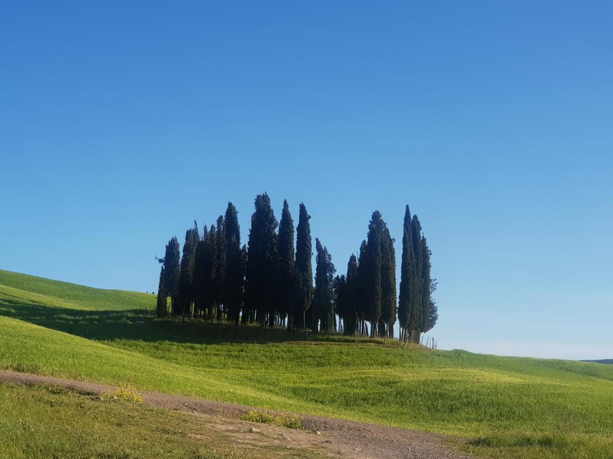 Ferienwohnung Dimora In San Quirico dʼOrcia Exterior foto