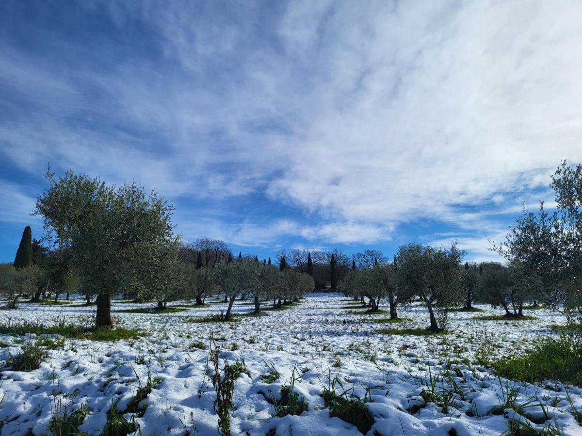 Ferienwohnung Dimora In San Quirico dʼOrcia Exterior foto